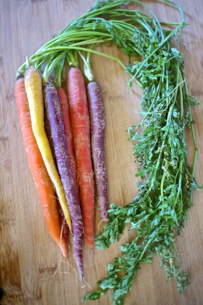 Shaved Rainbow Carrot Salad with Cilantro, Vinaigrette & Queso Fresco 