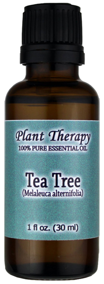 tea tree