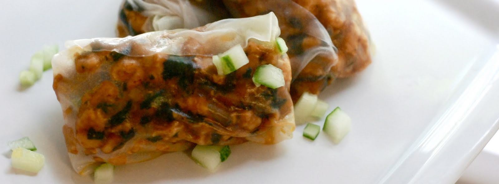 Vietnamese Style Chicken & Cucumber Spring Rolls – $1.16