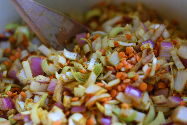 Red Lentil Curry with Leeks and Tofu