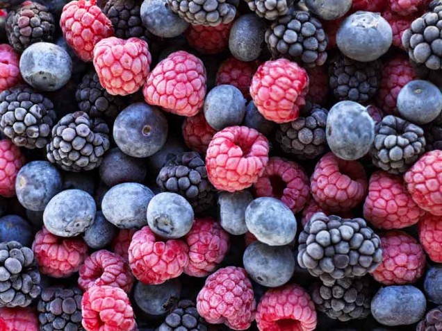 Frozen Coconut & Greek Yogurt Covered Blueberries & Raspberries