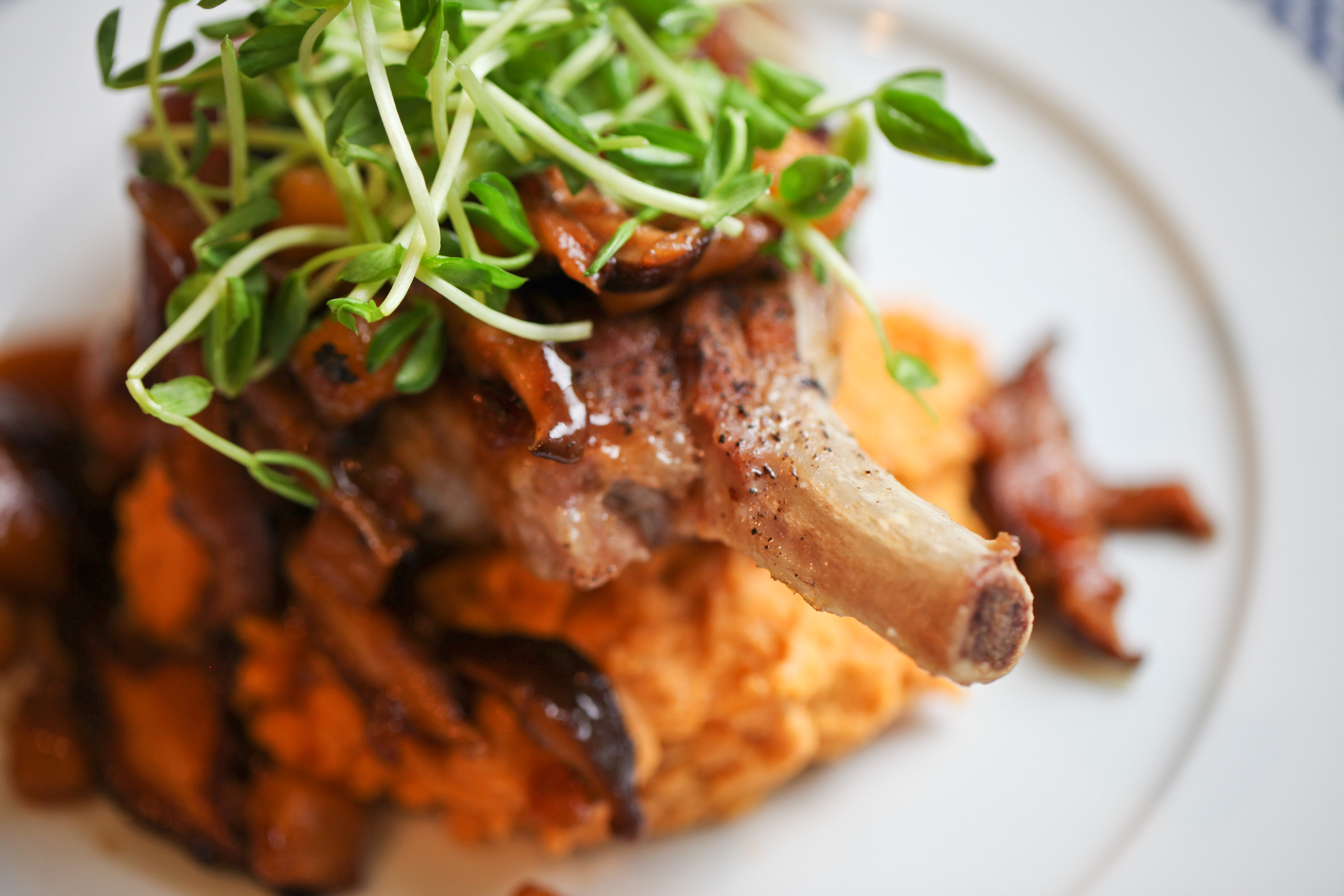 Apple Mushroom Sauce over Pork Chops and Mashed Sweet Potatoes – $3.90